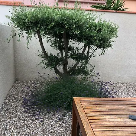 Casa de Férias Neuve Avec Jardin *